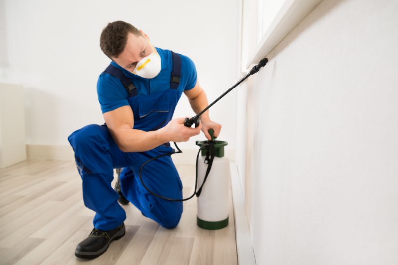 Bed Bug Extermination