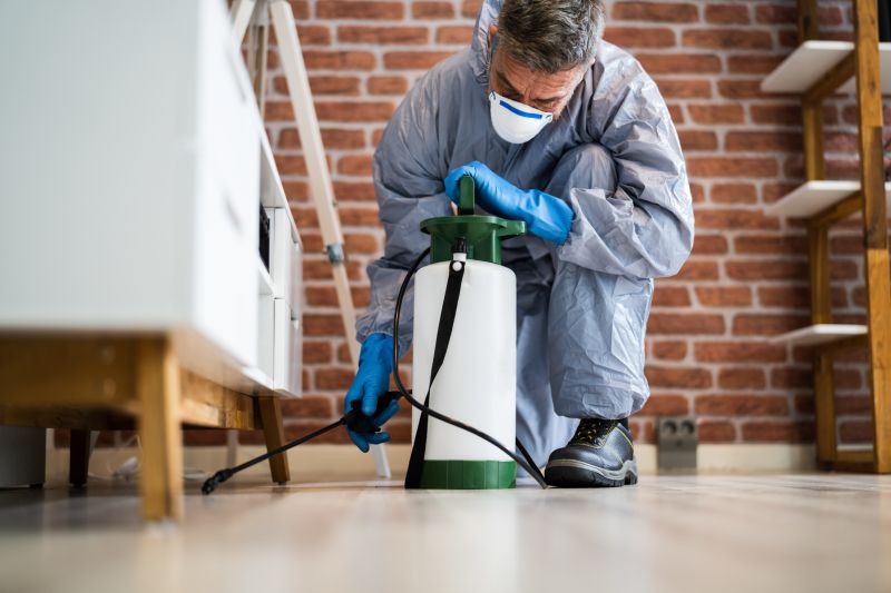 Bed Bug Fumigation