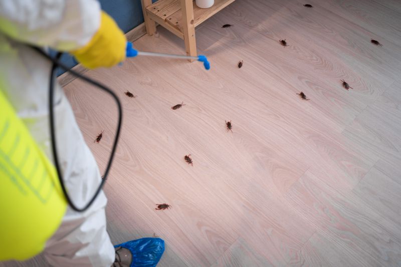 Cockroach Fumigation Service