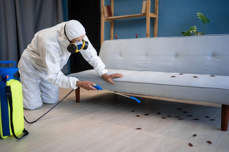 Cockroach Fumigation Service
