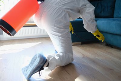 Roach Fumigation in Wilmington, NC