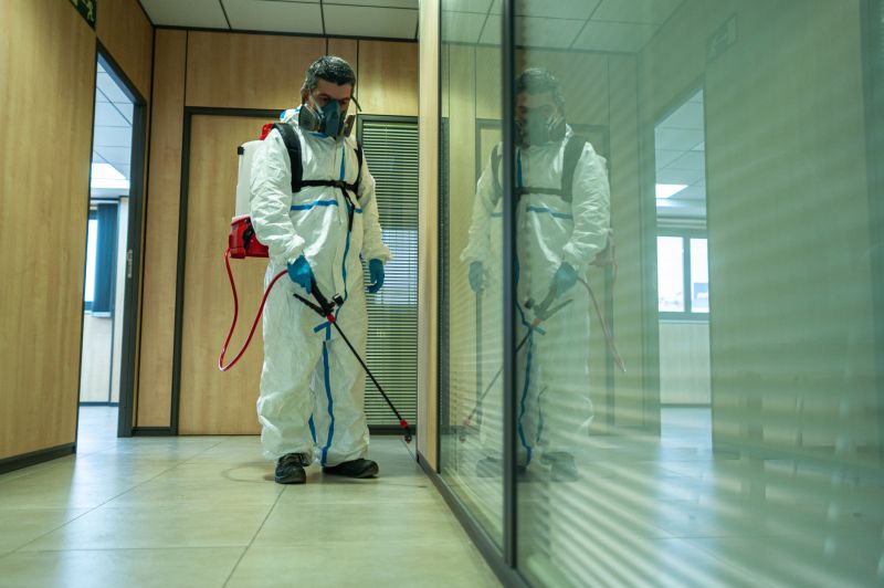 Spider Fumigation Service in Kalamazoo, MI