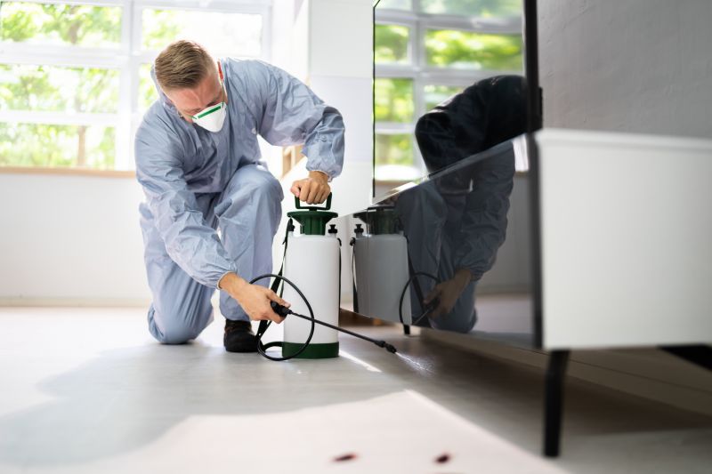 Wasp Extermination Service