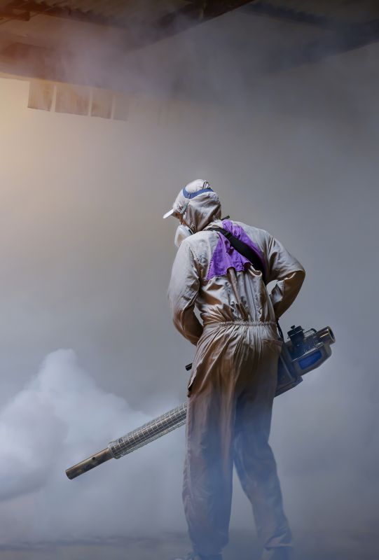 Rat Fumigation Service in Franklin, TN