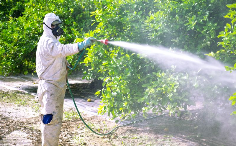 Residential Fumigation in Fayetteville, NC